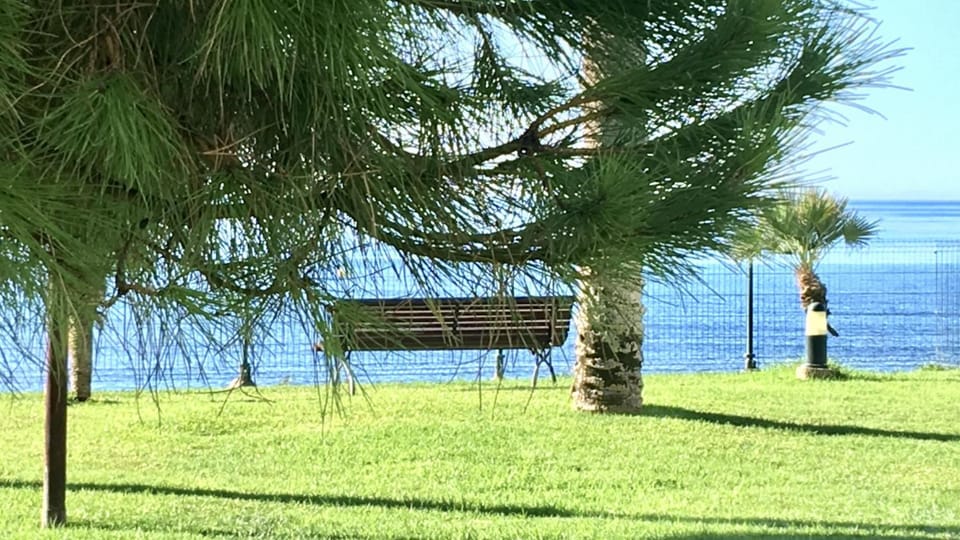 Garden, Sea view