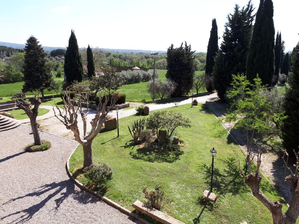 Garden, Garden view, Quiet street view