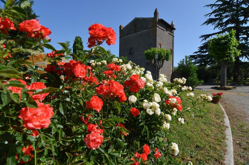 Garden view, Street view