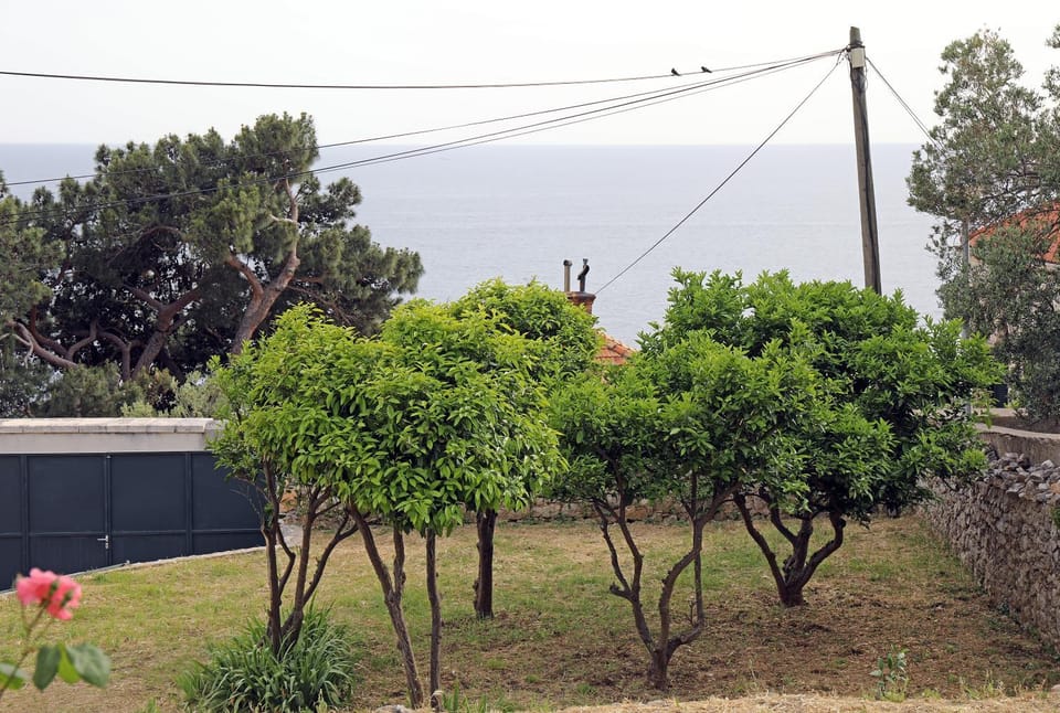 Natural landscape