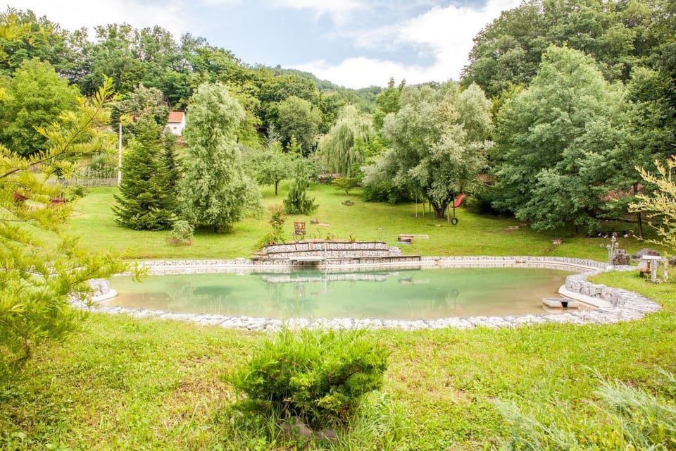 Summer, Garden, Lake view, Swimming pool, Swimming pool