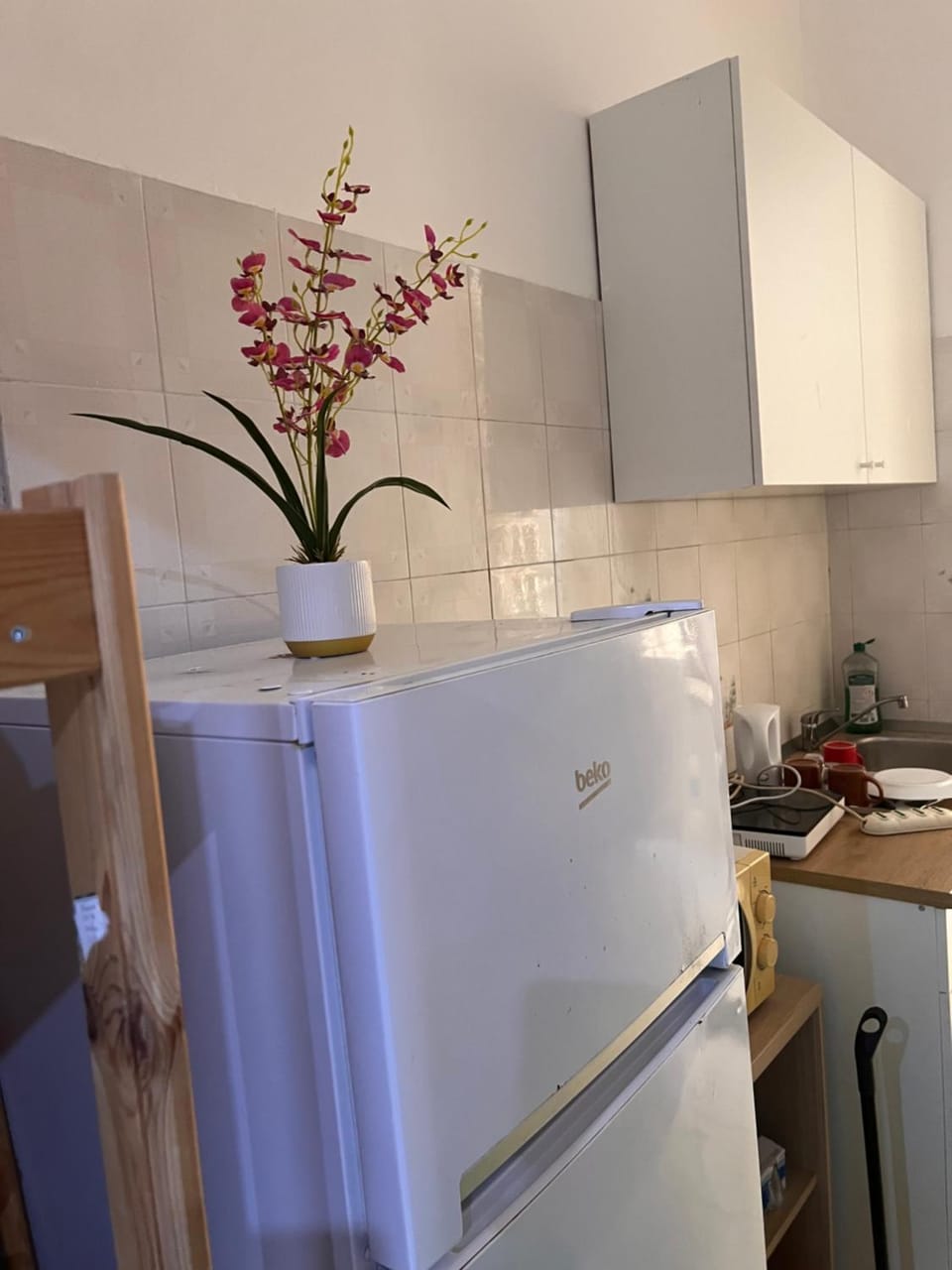 Blue whale Bed and Breakfast in Rome
