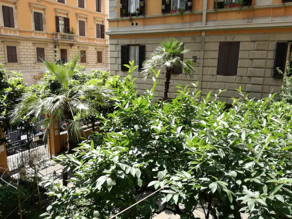 Blue whale Bed and Breakfast in Rome
