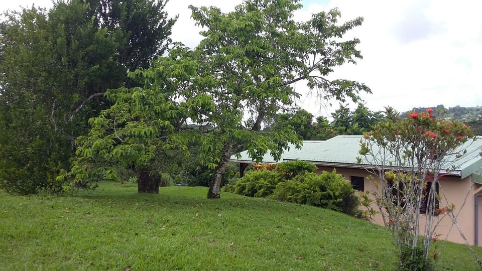 Garden, Garden view