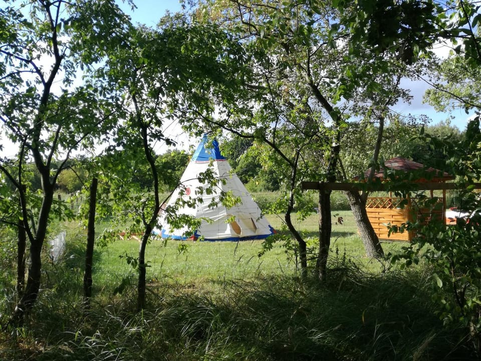 Glamping Podgrodzie Luxury tent in West Pomeranian Voivodeship, Poland