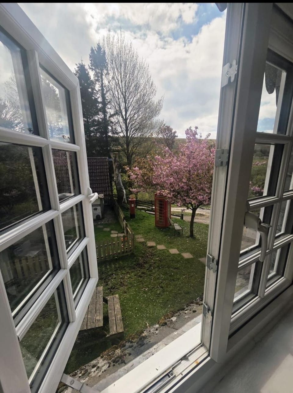 Day, Garden, Garden view