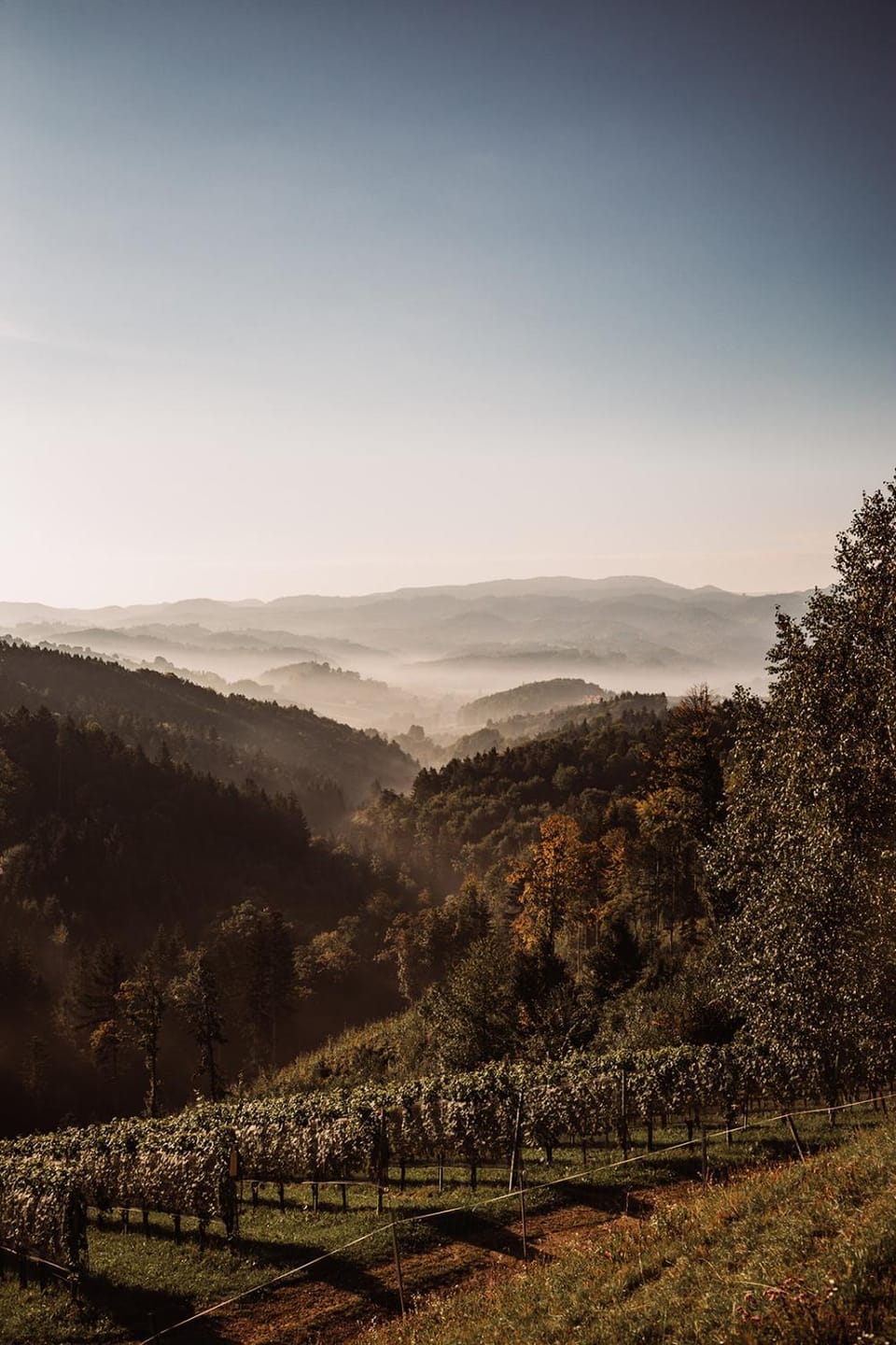 Natural landscape