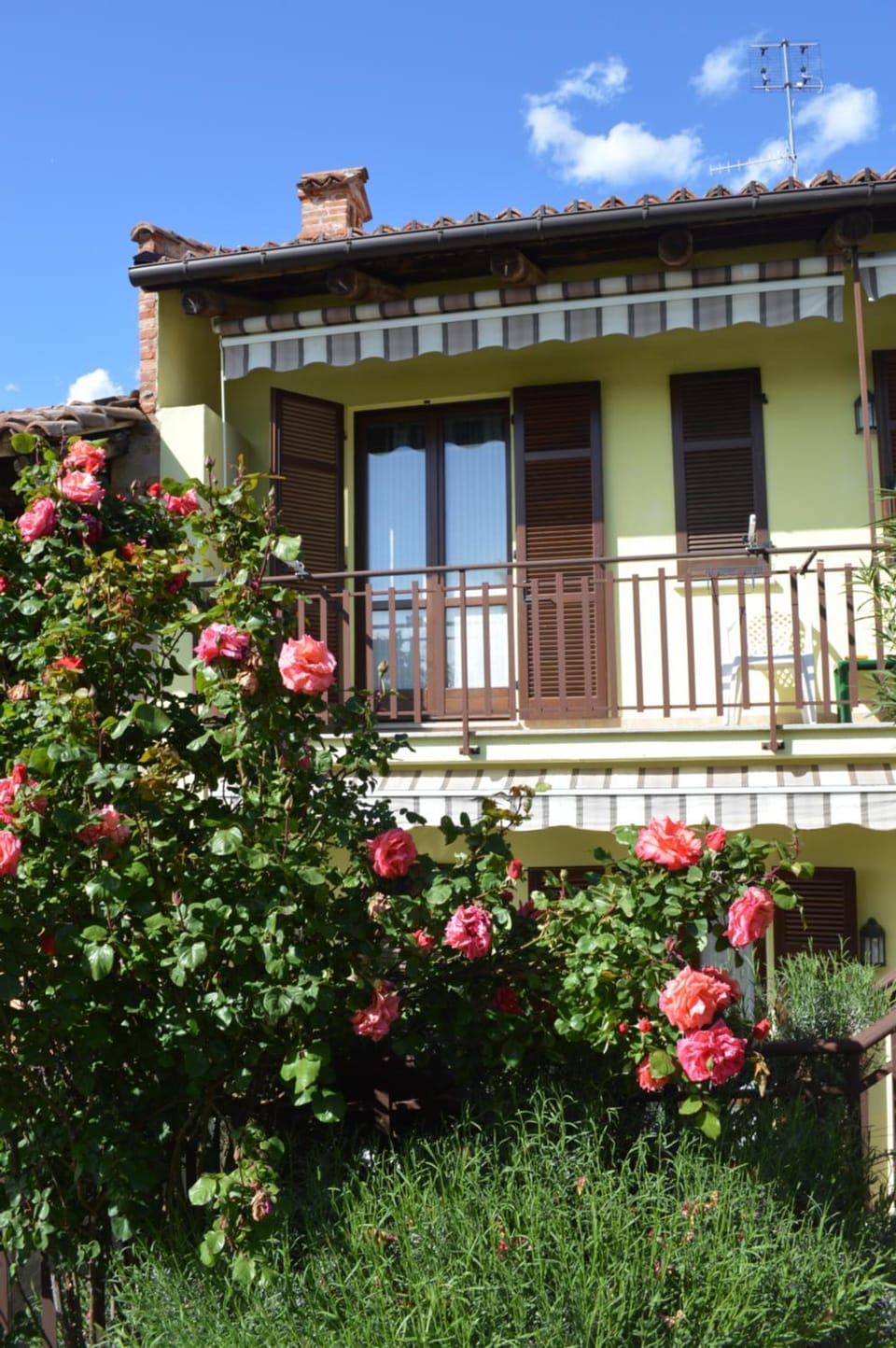 Tra... Monti E Vigne Bed and Breakfast in Liguria