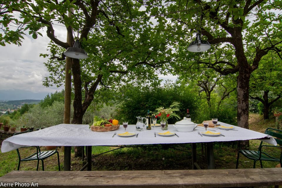 Day, Food and drinks, Dining area, Food