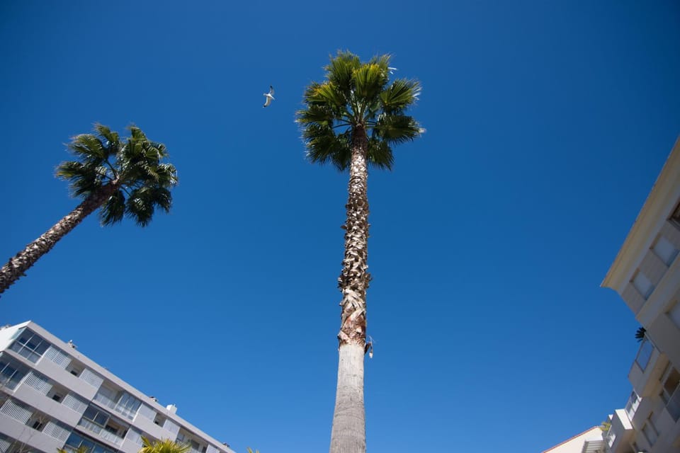 Le Parc Pointe Croisette Apartment in Cannes