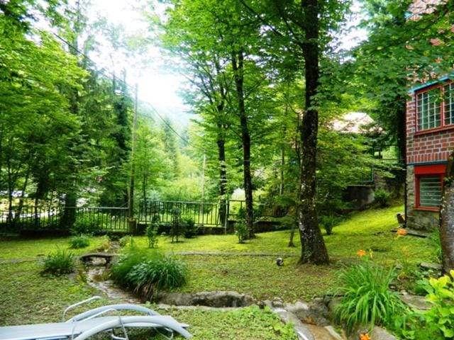 Property building, Natural landscape, Garden, Garden view