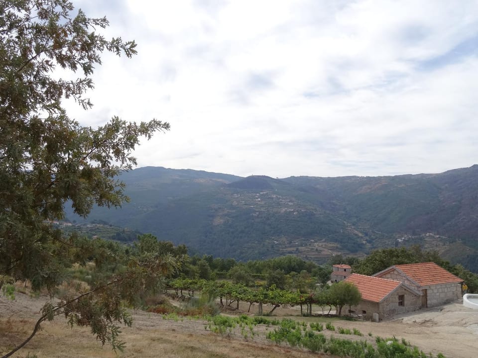 Quinta de S. Cipriano House in Porto District