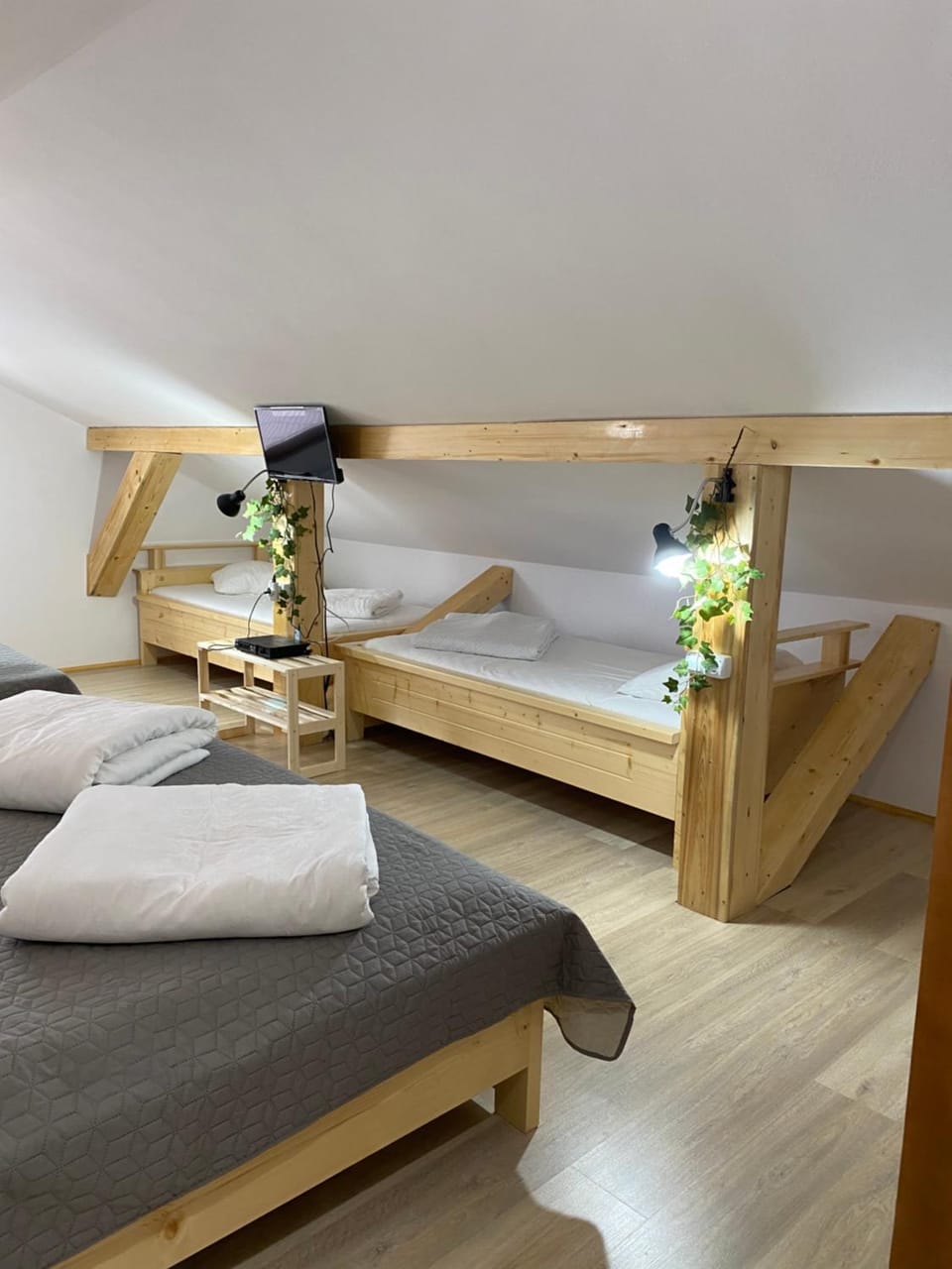 Pensiunea Bradet - Padis Bed and Breakfast in Cluj County