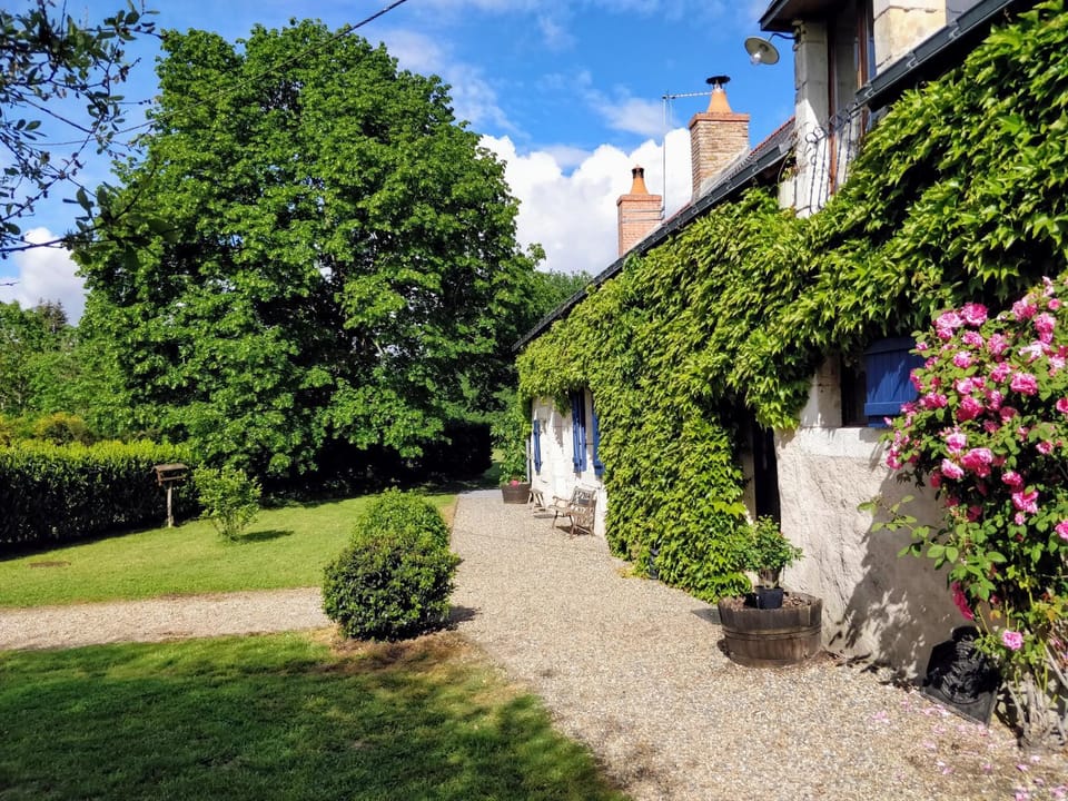 Property building, Facade/entrance, Garden