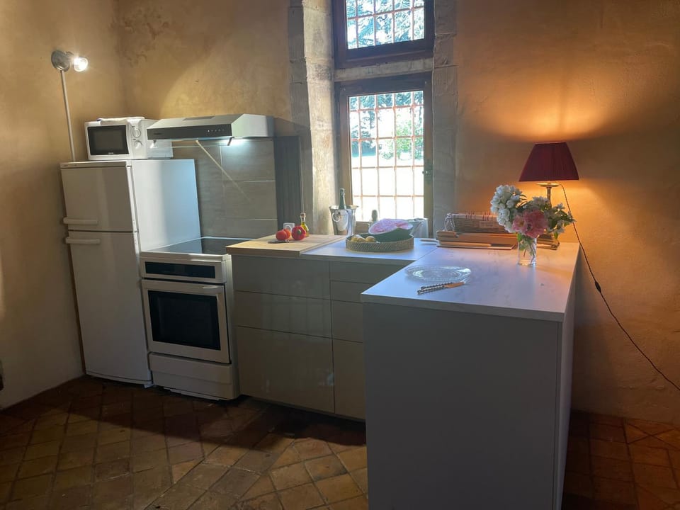 Kitchen or kitchenette, dishwasher, oven, stove