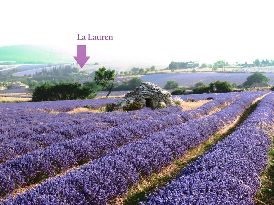 Natural landscape