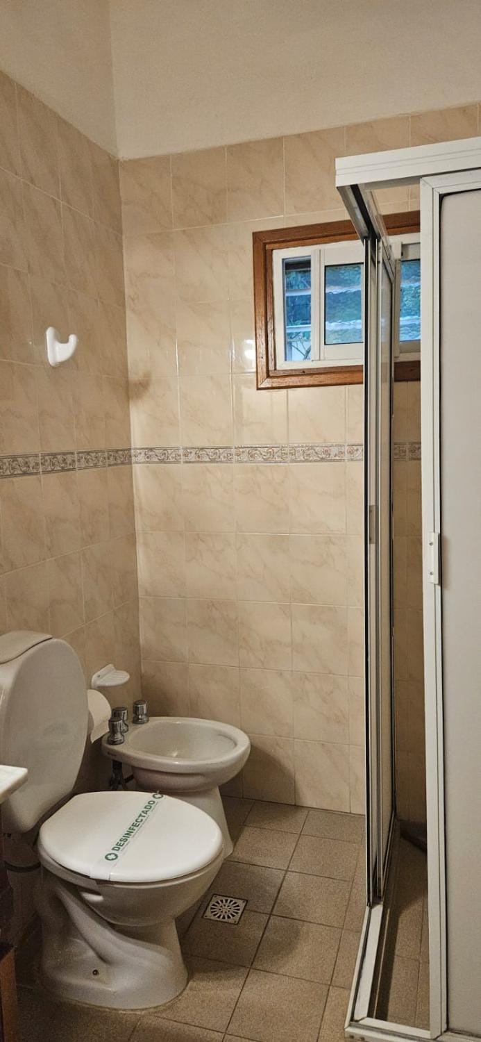 Shower, Toilet, Bathroom, bidet