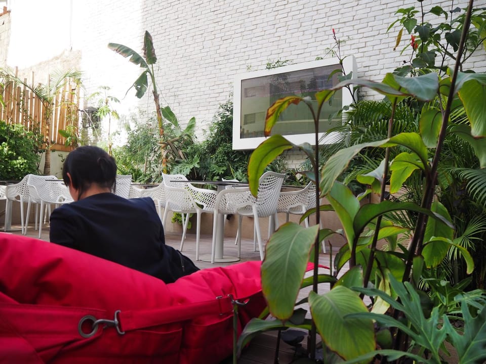 Communal lounge/ TV room, Communal lounge/ TV room, Spring, Day, People, Garden, Garden, Balcony/Terrace, Seating area, Garden view