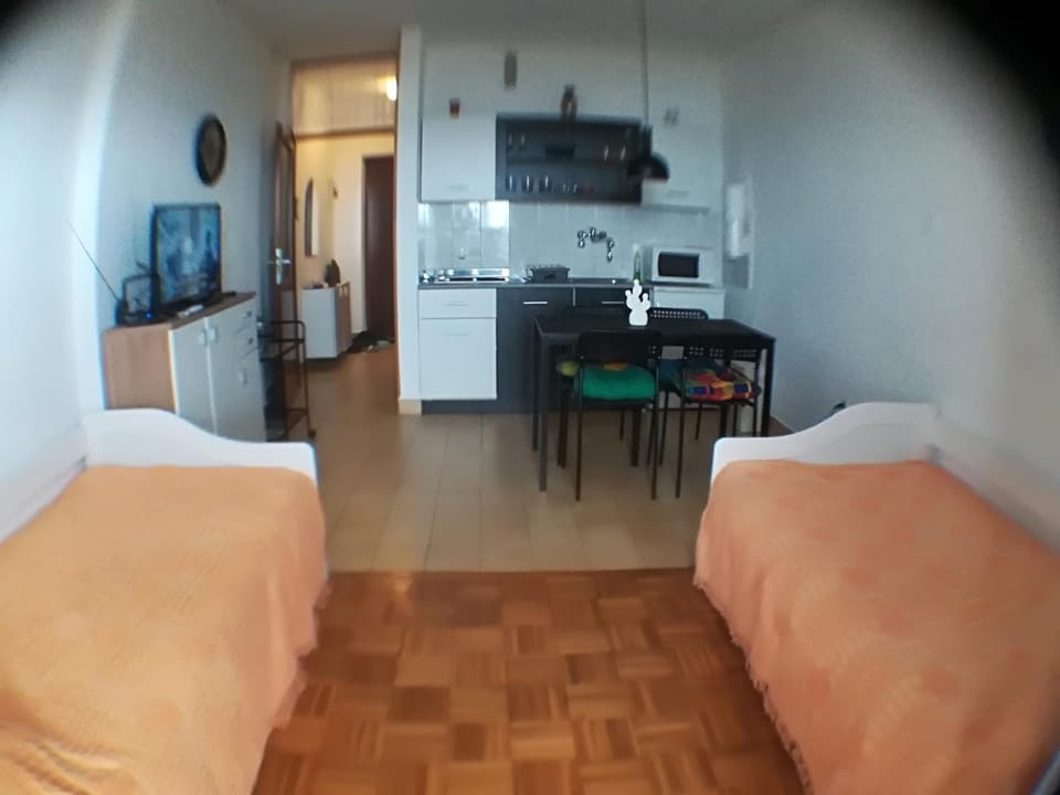 Apartman Darko Apartment in Novi Vinodolski