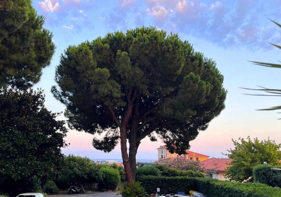 Day, Natural landscape, Summer, Garden, Garden view, Sea view, Sunset