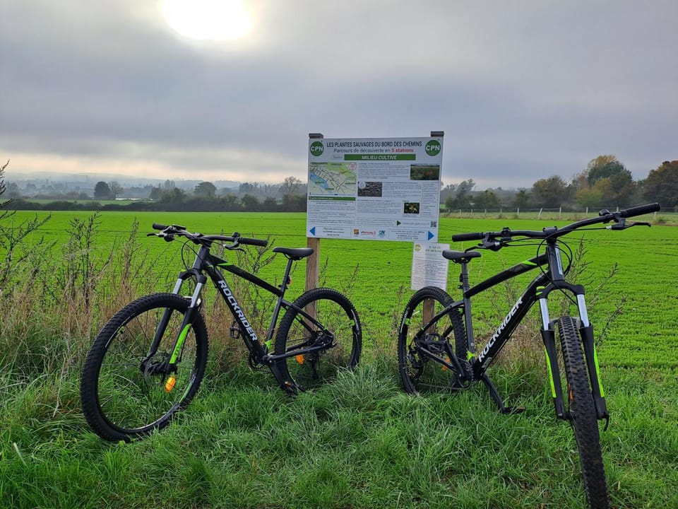 Hiking, Cycling
