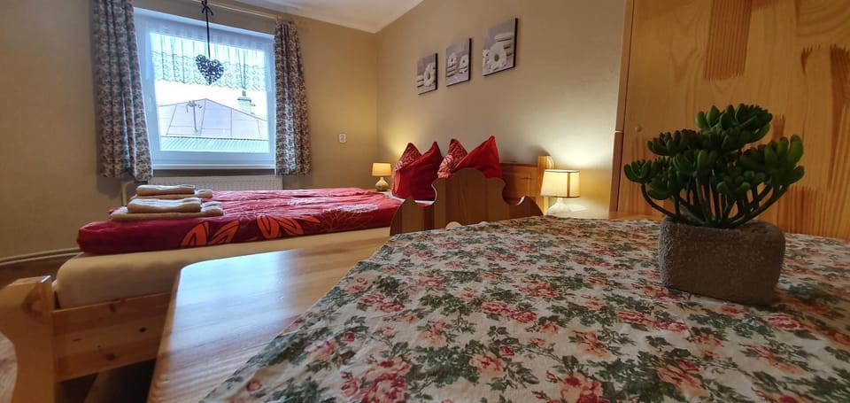 Apartmán u Babičky Ždiar Vacation rental in Lesser Poland Voivodeship