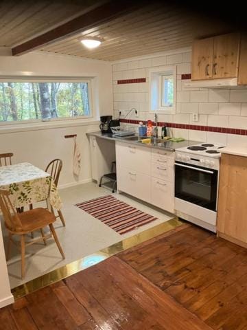 Kitchen or kitchenette, Dining area, oven, stove