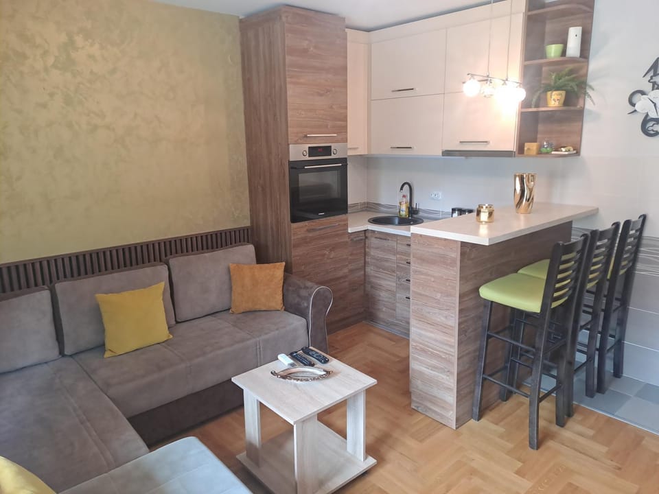 Royal Torarica Apartment in Serbia
