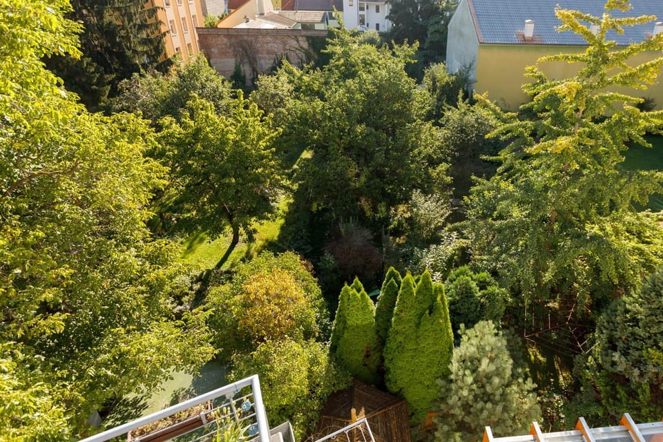 Garden, Garden view