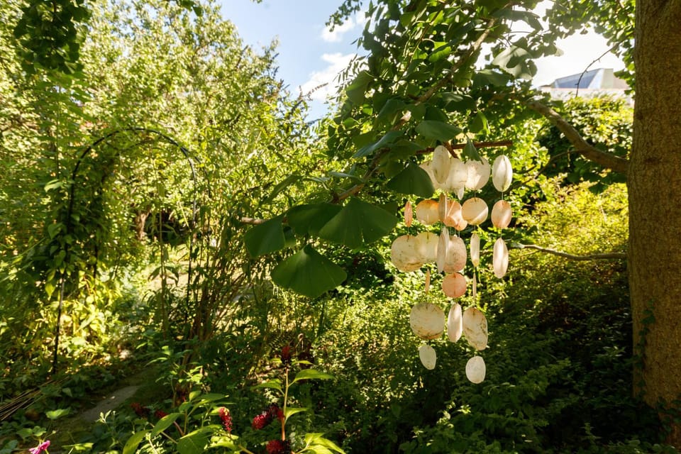 Garden, Garden view