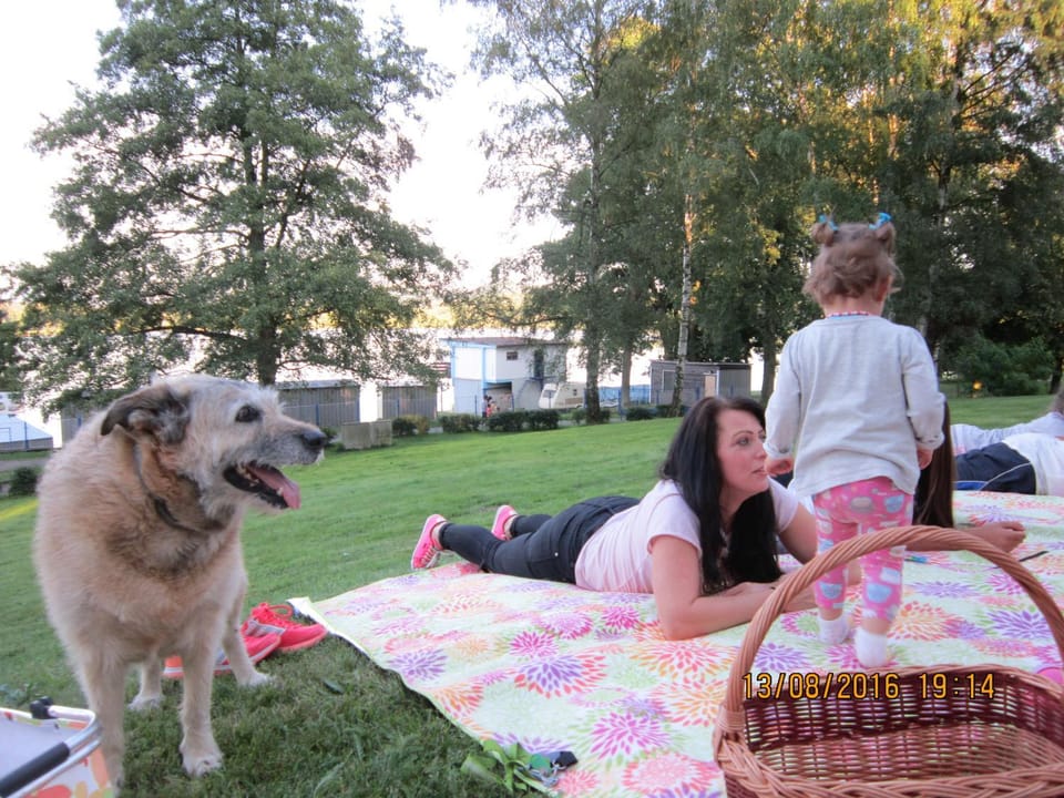 Garden, Pets