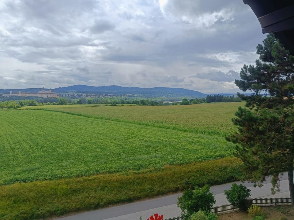 View (from property/room)