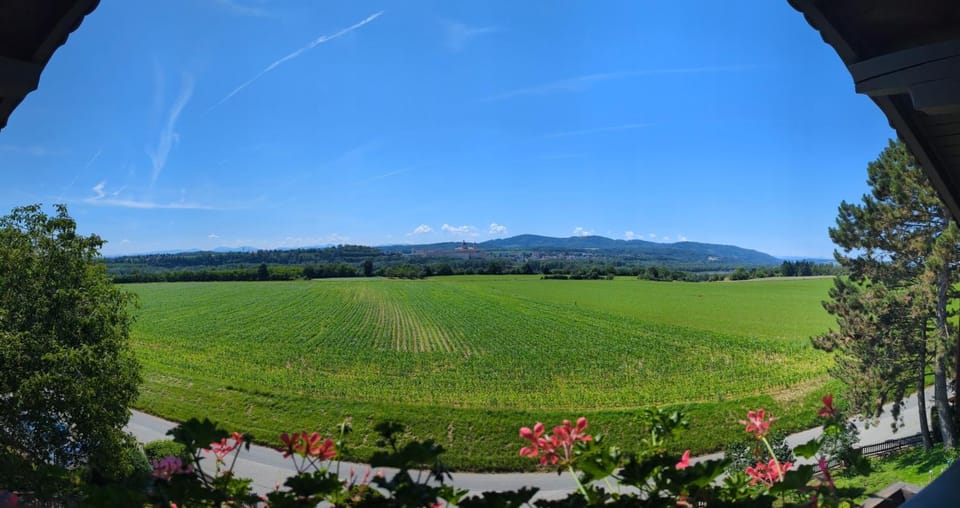 View (from property/room)