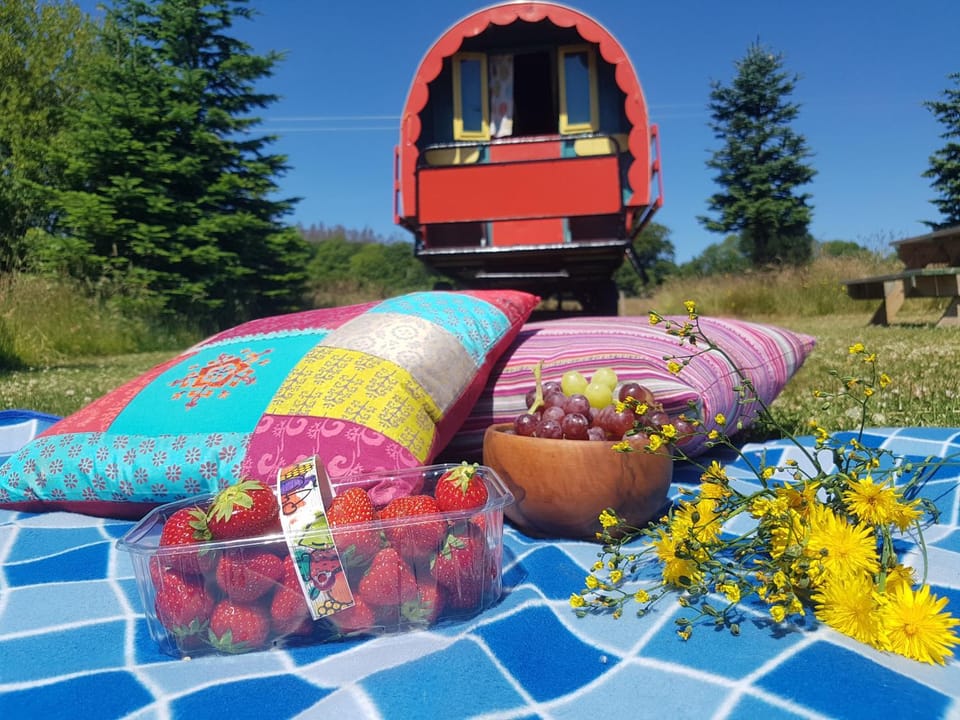 Clissmann Horse Caravans Glamping Luxury tent in Wicklow, Co. Wicklow, Ireland