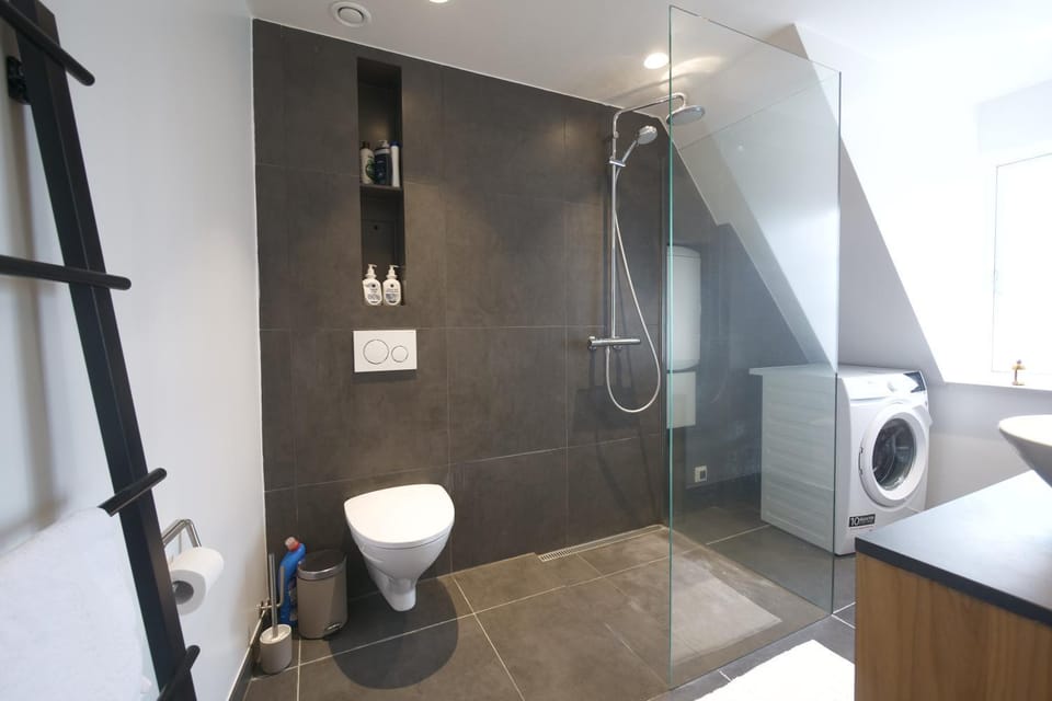 Shower, Toilet, towels, washing machine