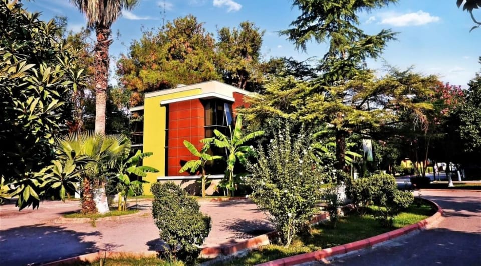 Property building, Natural landscape, Garden, Garden view