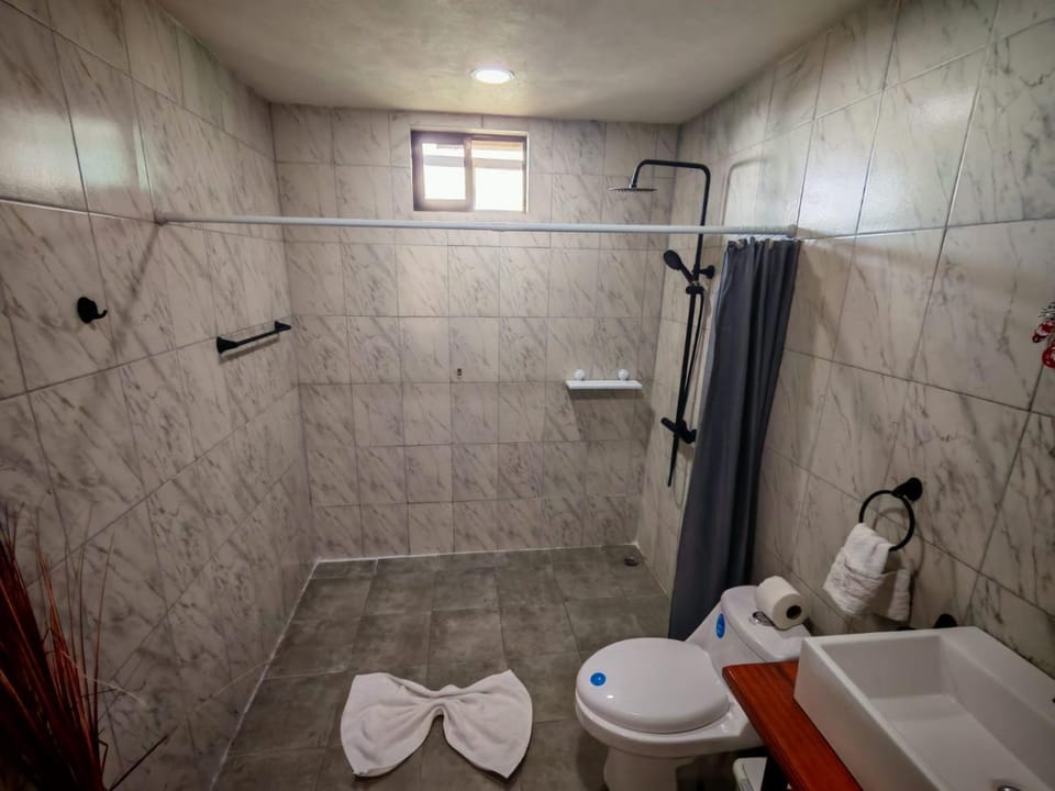 Shower