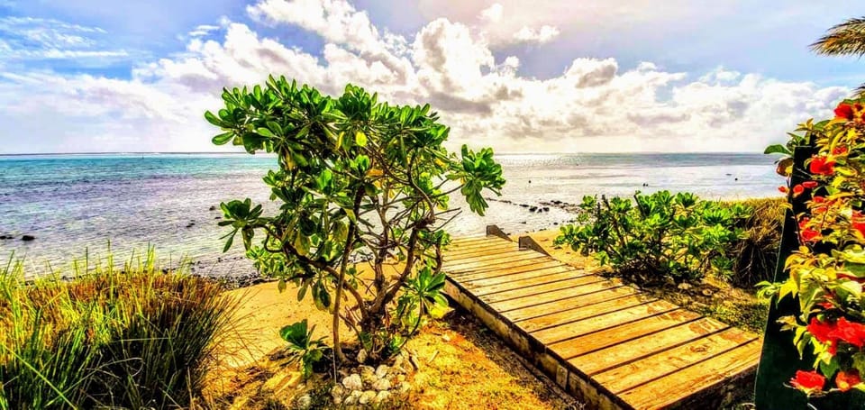 Natural landscape, Beach, Landmark view