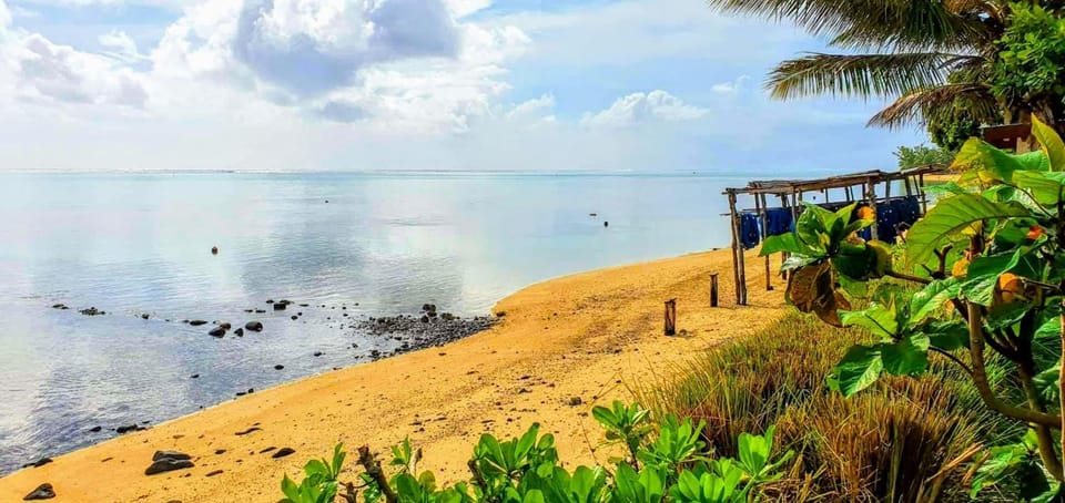 Natural landscape, Beach