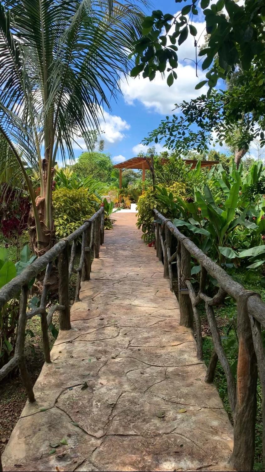 Natural landscape, Garden