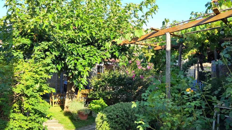 Inner courtyard view