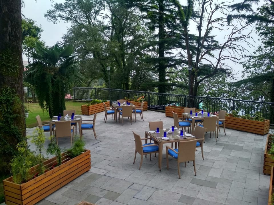 Restaurant/places to eat, Garden view