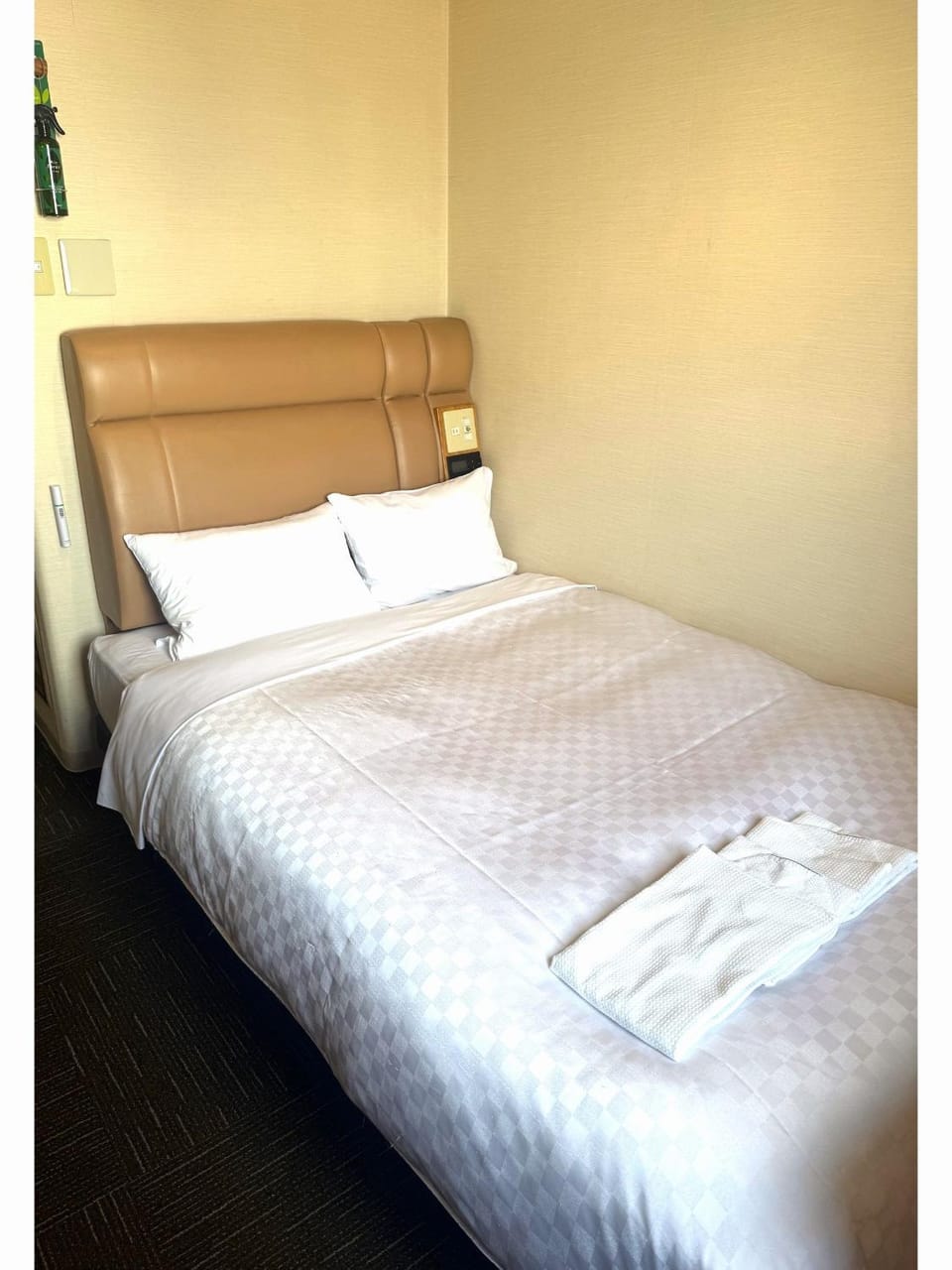 Sunsky Hotel Hotel in Fukuoka Prefecture