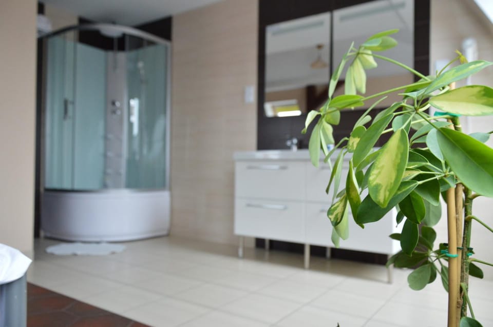 Shower, Bathroom, Photo of the whole room