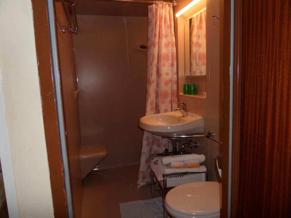 Shower, Toilet, Bathroom, Decorative detail