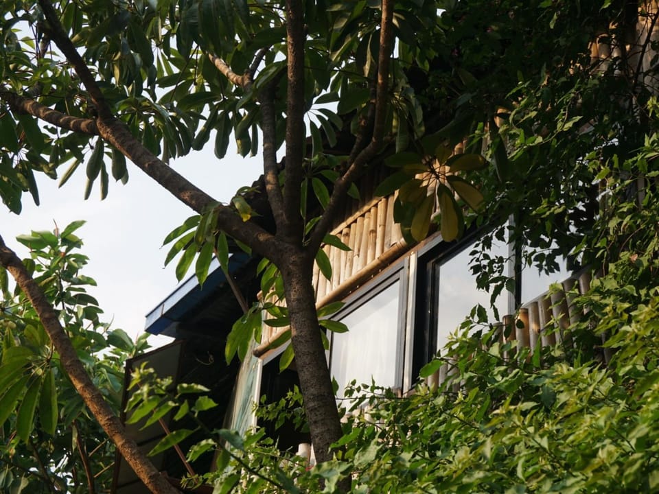 Property building, View (from property/room)
