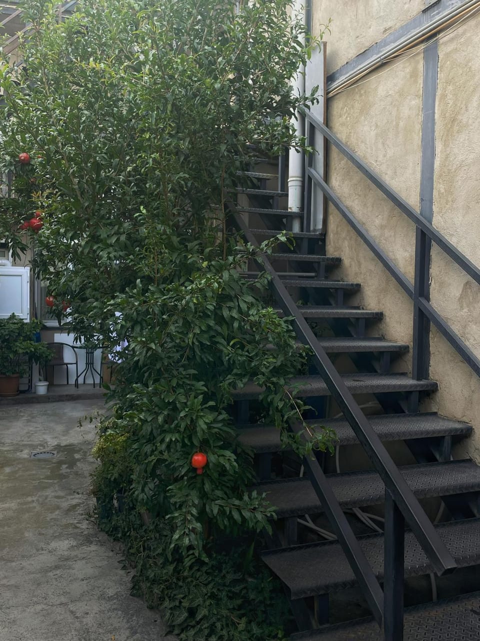Natali Bed and Breakfast in Tbilisi, Georgia