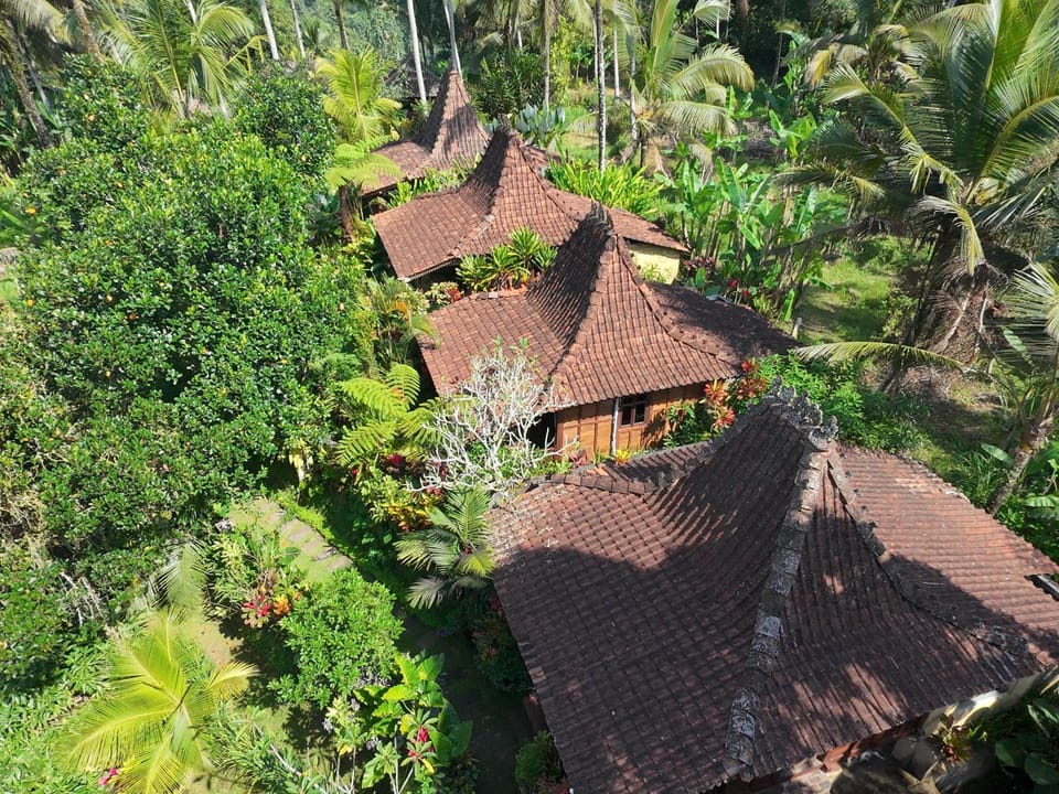 Property building, Natural landscape, Garden view