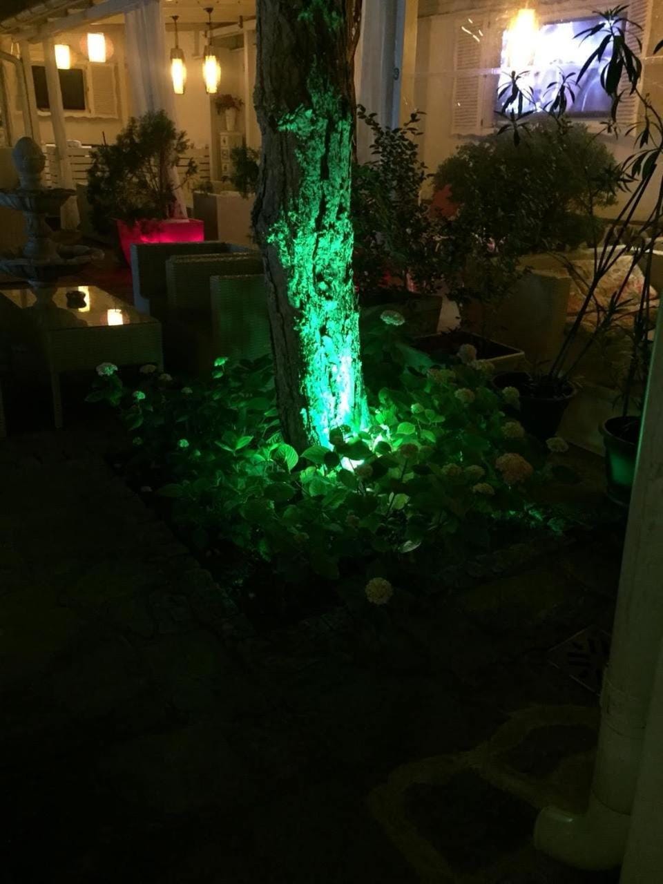 Patio, Restaurant/places to eat, Garden