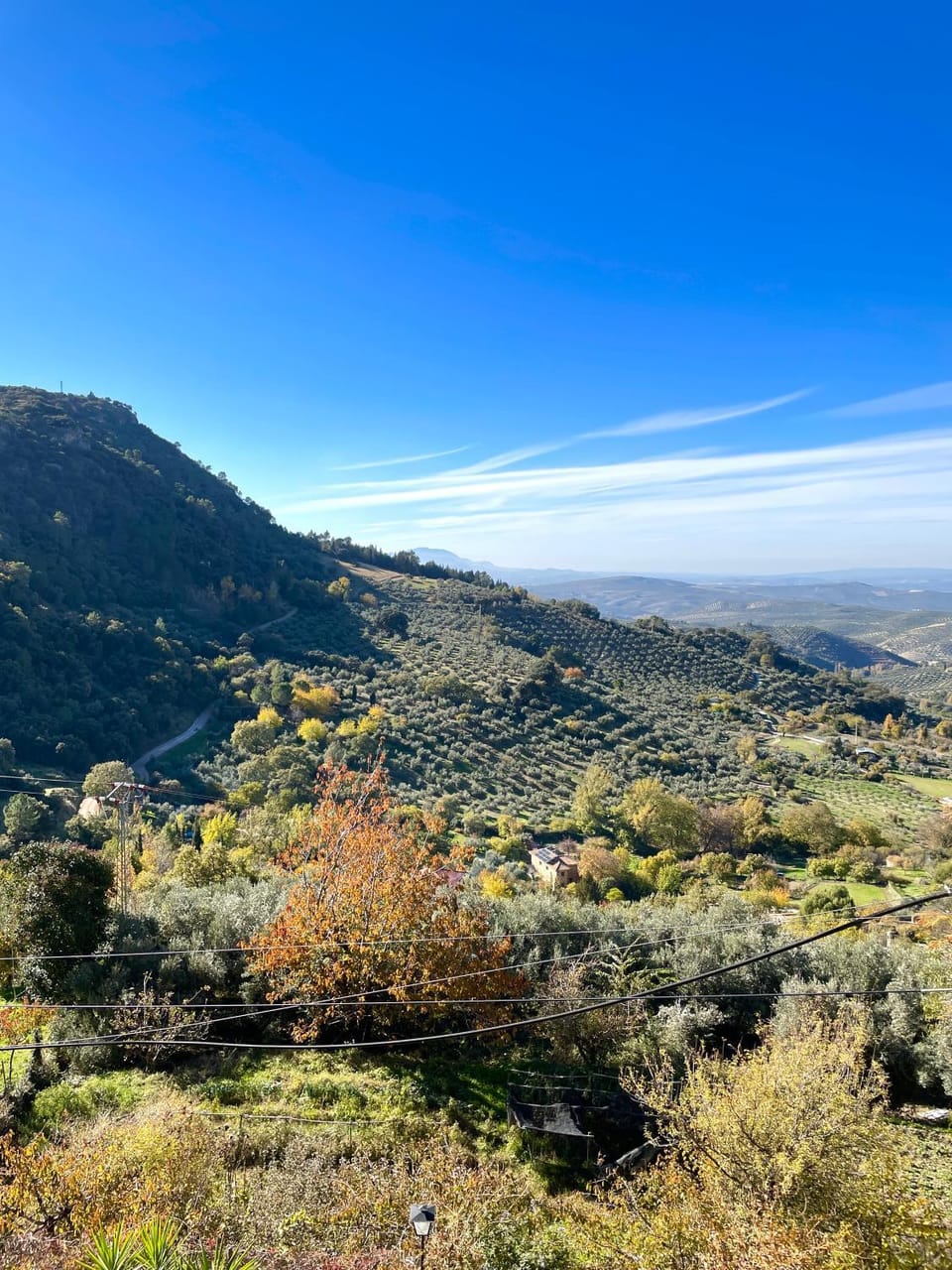 Hotel San Julian Hotel in Sierra de Cazorla Comarca